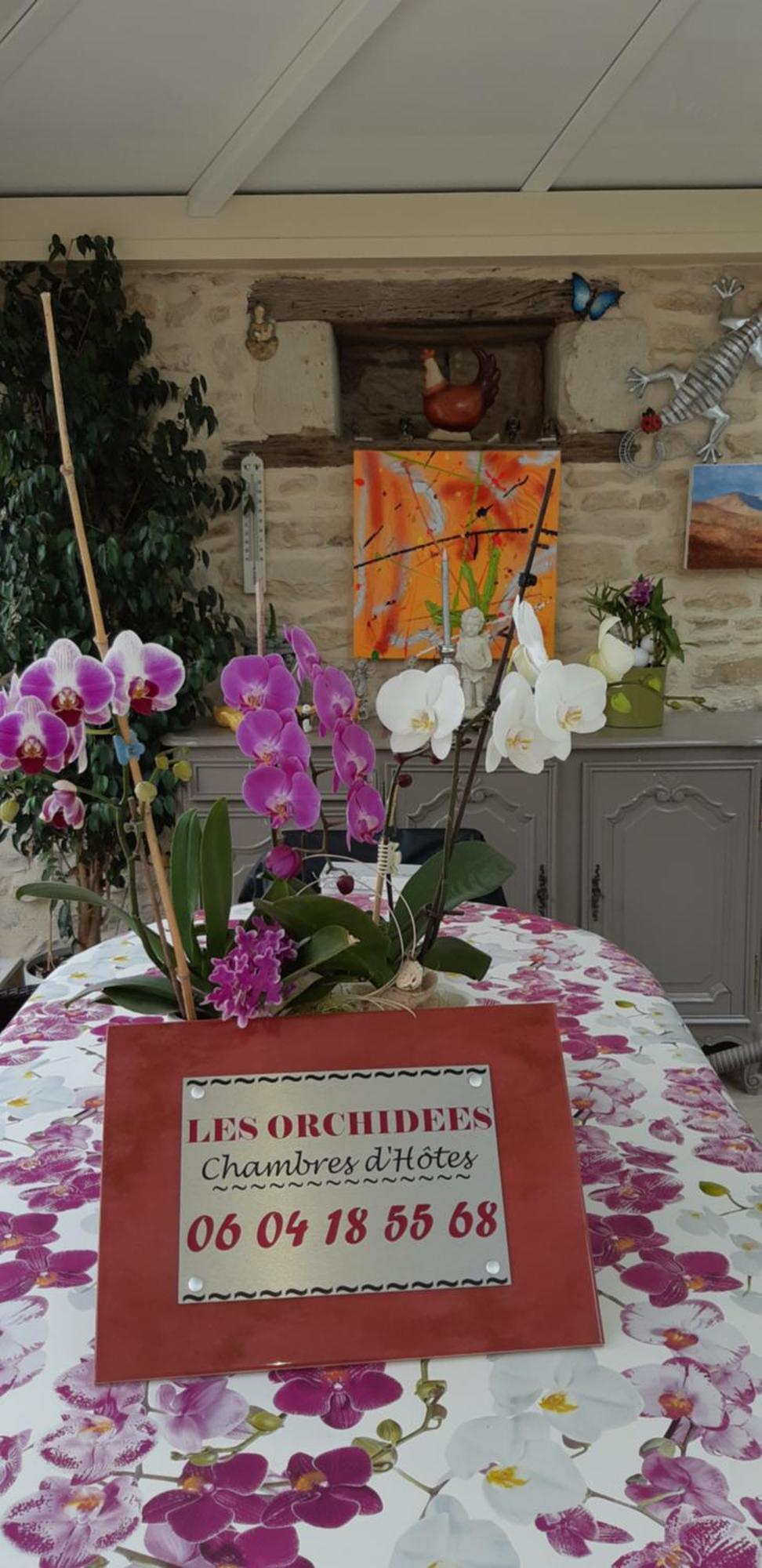Les Orchidees Chambre Hotes Futuroscope Chasseneuil Poitiers Jaunay-Clan Exterior photo